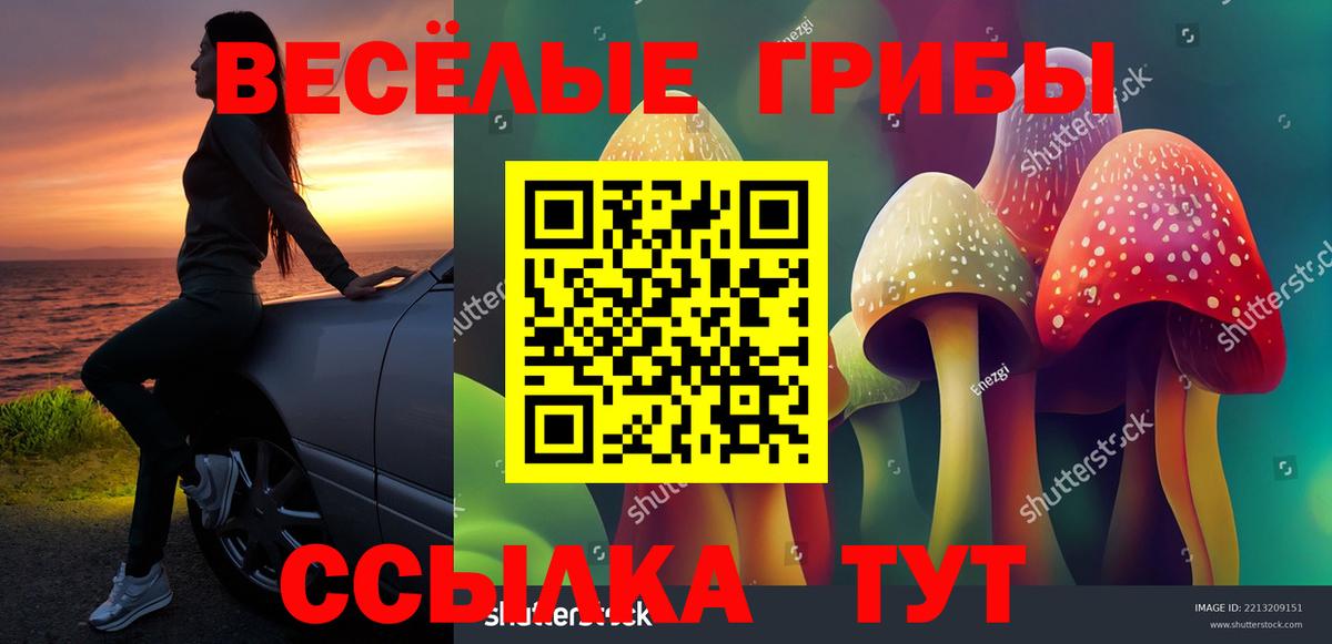 Псилоцибиновые грибы Cubensis  где найти наркотики  Астрахань  Вход с VPN 